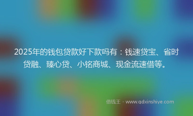 2025年的钱包贷款好下款吗有:钱速贷宝、省时贷融、臻心贷、小铭商城、现金流速借等。