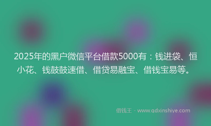 2025年的黑户微信平台借款5000有：钱进袋、恒小花、钱鼓鼓速借、借贷易融宝、借钱宝易等。