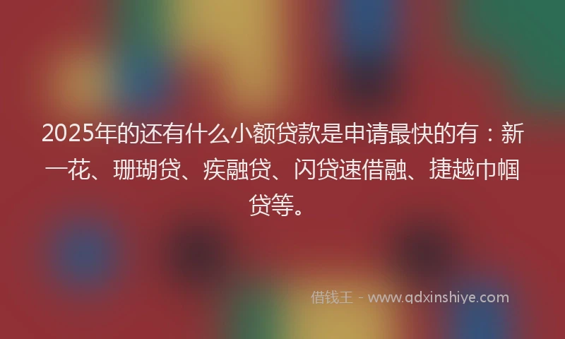 2025年的还有什么小额贷款是申请最快的有：新一花、珊瑚贷、疾融贷、闪贷速借融、捷越巾帼贷等。