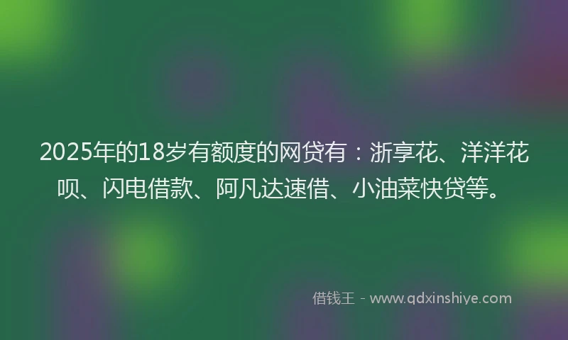 2025年的18岁有额度的网贷有：浙享花、洋洋花呗、闪电借款、阿凡达速借、小油菜快贷等。