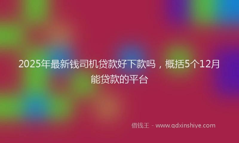 2025年最新钱司机贷款好下款吗，概括5个12月能贷款的平台