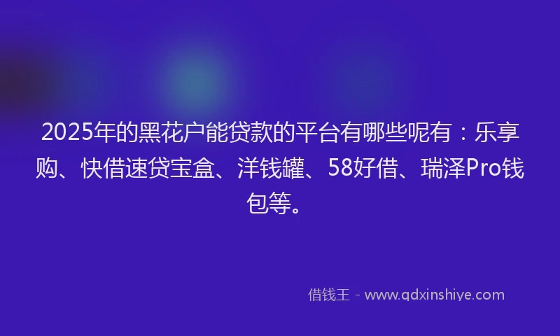 2025年的黑花户能贷款的平台有哪些呢有：乐享购、快借速贷宝盒、洋钱罐、58好借、瑞泽Pro钱包等。