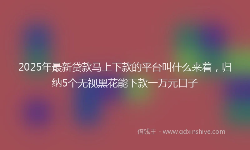 2025年最新贷款马上下款的平台叫什么来着，归纳5个无视黑花能下款一万元口子