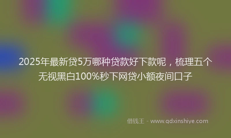 2025年最新贷5万哪种贷款好下款呢，梳理五个无视黑白100%秒下网贷小额夜间口子