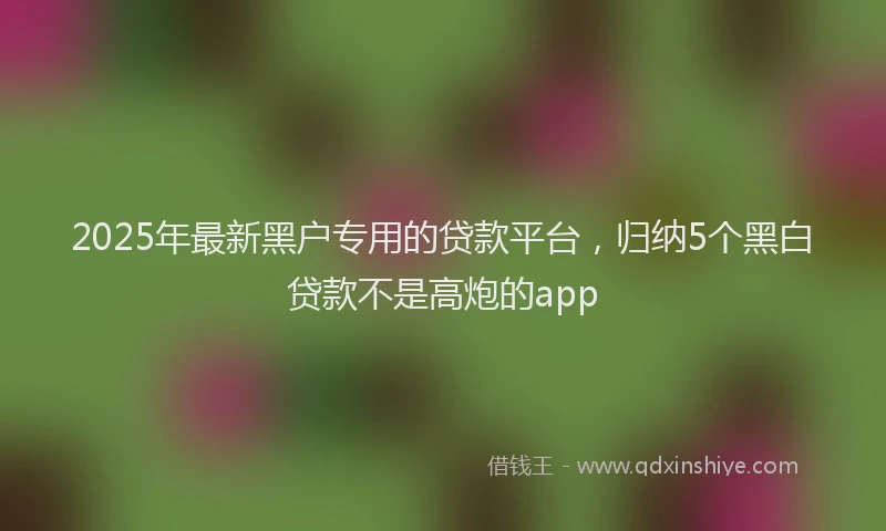 2025年最新黑户专用的贷款平台，归纳5个黑白贷款不是高炮的app