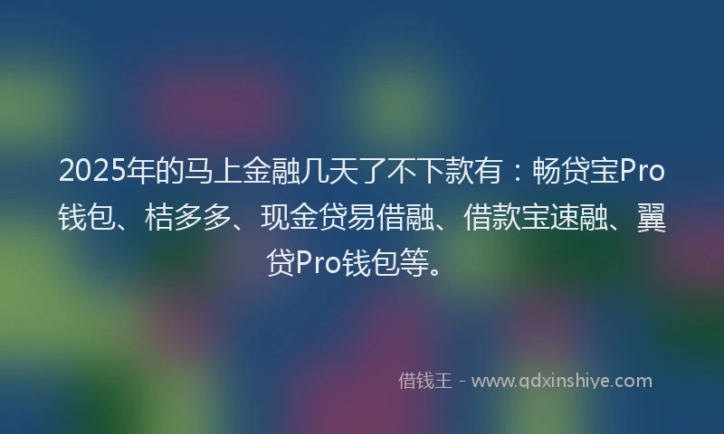 2025年的马上金融几天了不下款有：畅贷宝Pro钱包、桔多多、现金贷易借融、借款宝速融、翼贷Pro钱包等。