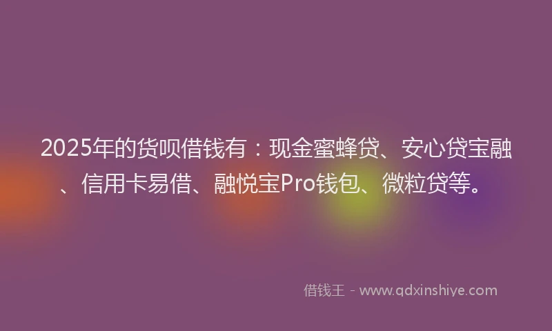 2025年的货呗借钱有:现金蜜蜂贷、安心贷宝融、信用卡易借、融悦宝Pro钱包、微粒贷等。