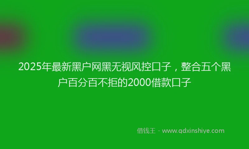 2025年最新黑户网黑无视风控口子，整合五个黑户百分百不拒的2000借款口子