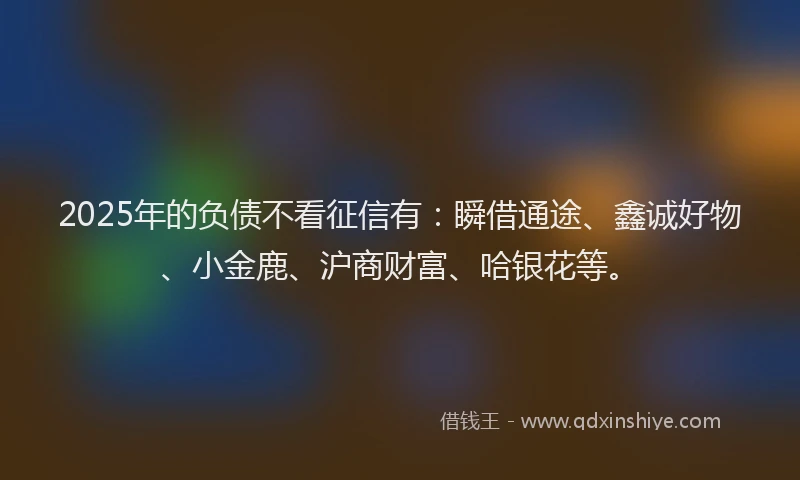 2025年的负债不看征信有：瞬借通途、鑫诚好物、小金鹿、沪商财富、哈银花等。