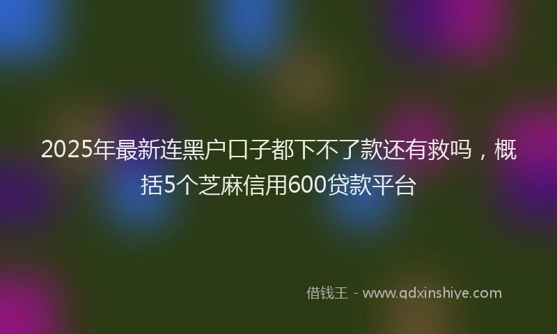 2025年最新连黑户口子都下不了款还有救吗，概括5个芝麻信用600贷款平台