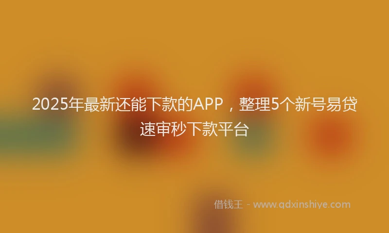 2025年最新还能下款的APP，整理5个新号易贷速审秒下款平台