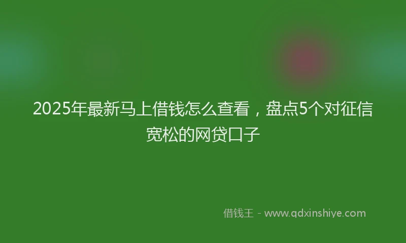 2025年最新马上借钱怎么查看，盘点5个对征信宽松的网贷口子