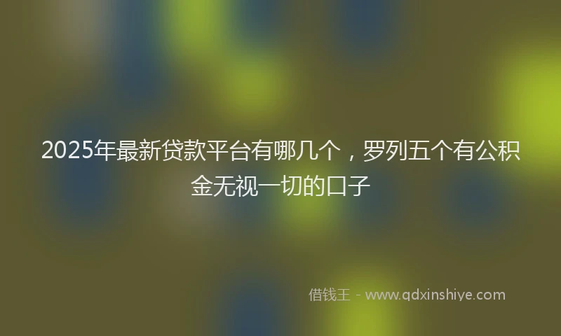 2025年最新贷款平台有哪几个，罗列五个有公积金无视一切的口子