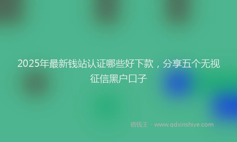 2025年最新钱站认证哪些好下款，分享五个无视征信黑户口子
