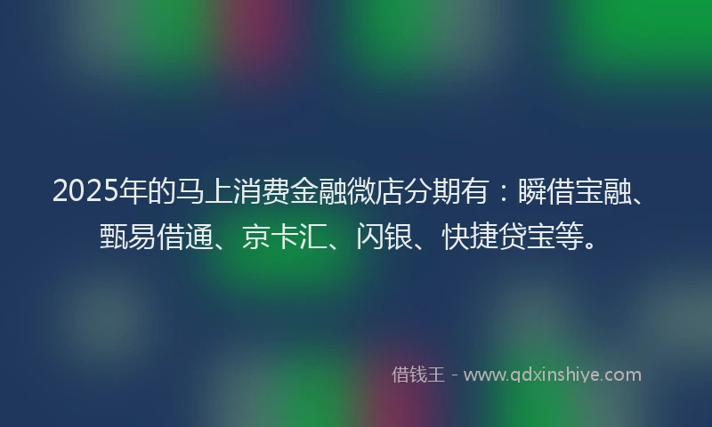 2025年的马上消费金融微店分期有：瞬借宝融、甄易借通、京卡汇、闪银、快捷贷宝等。