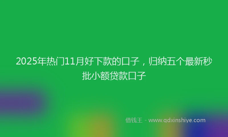 2025年热门11月好下款的口子，归纳五个最新秒批小额贷款口子