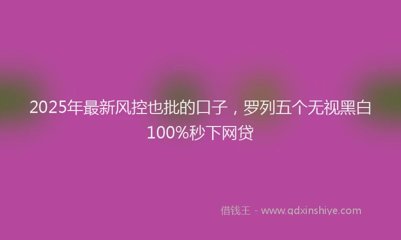 2025年最新风控也批的口子，罗列五个无视黑白100%秒下网贷