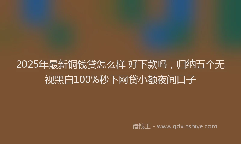 2025年最新铜钱贷怎么样 好下款吗，归纳五个无视黑白100%秒下网贷小额夜间口子