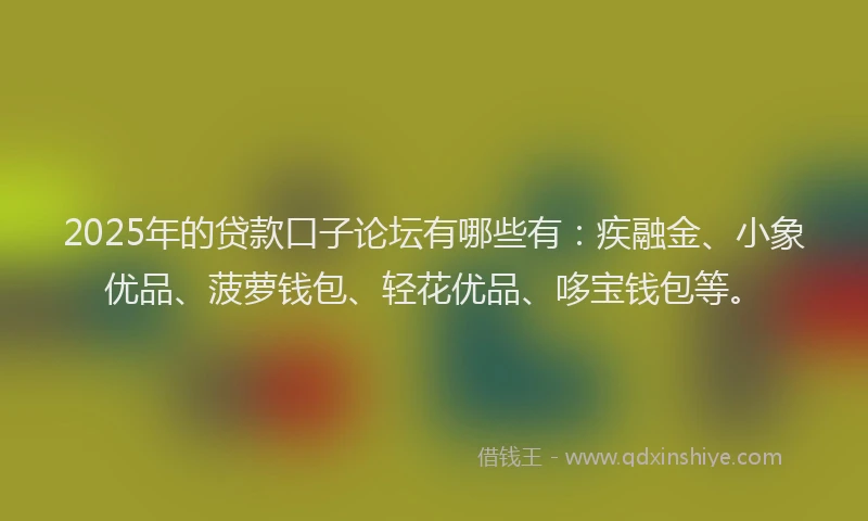 2025年的贷款口子论坛有哪些有：疾融金、小象优品、菠萝钱包、轻花优品、哆宝钱包等。