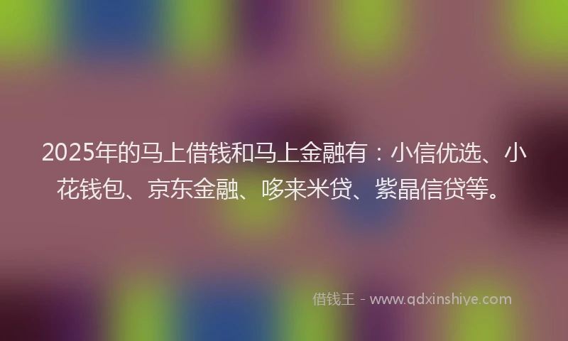 2025年的马上借钱和马上金融有：小信优选、小花钱包、京东金融、哆来米贷、紫晶信贷等。
