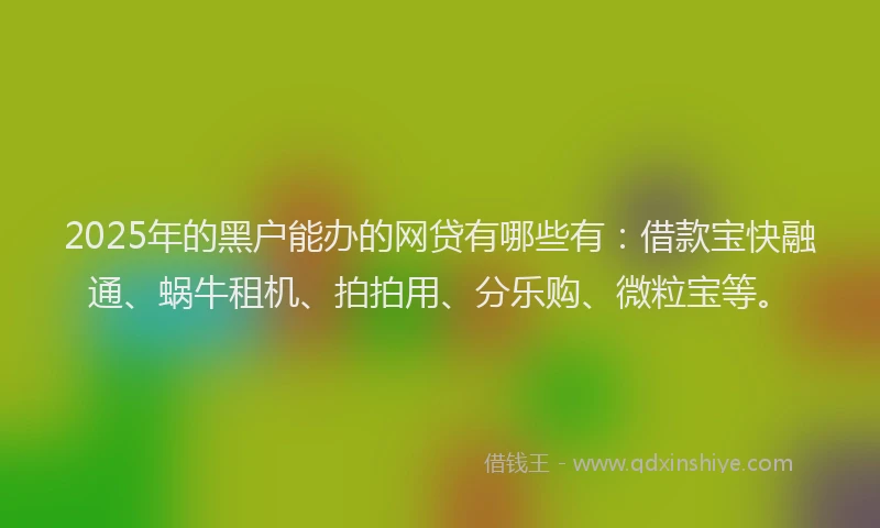 2025年的黑户能办的网贷有哪些有：借款宝快融通、蜗牛租机、拍拍用、分乐购、微粒宝等。