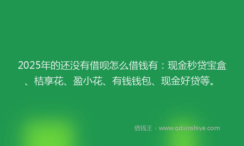 2025年的还没有借呗怎么借钱有：现金秒贷宝盒、桔享花、盈小花、有钱钱包、现金好贷等。