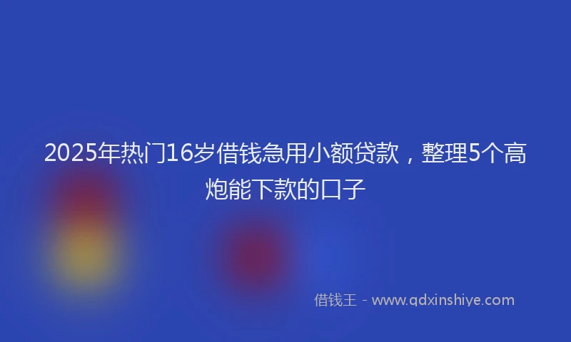 2025年热门16岁借钱急用小额贷款，整理5个高炮能下款的口子