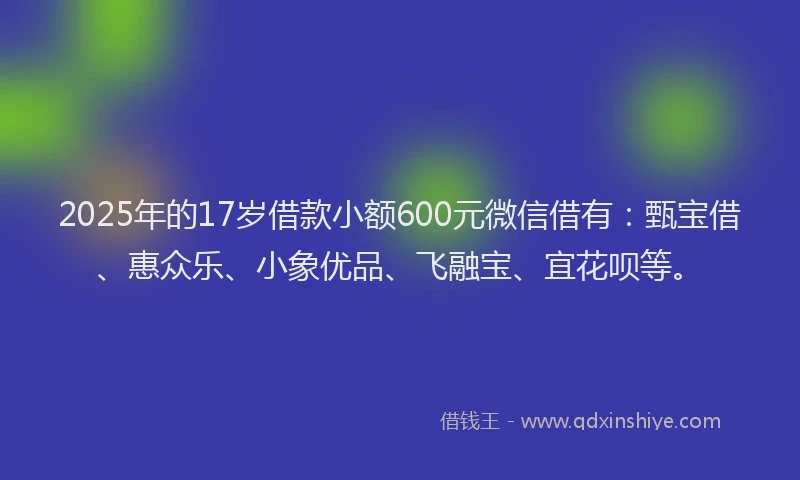 2025年的17岁借款小额600元微信借有：甄宝借、惠众乐、小象优品、飞融宝、宜花呗等。