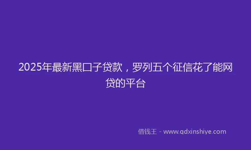 2025年最新黑囗子贷款，罗列五个征信花了能网贷的平台