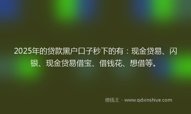 2025年的贷款黑户口子秒下的有：现金贷易、闪银、现金贷易借宝、借钱花、想借等。