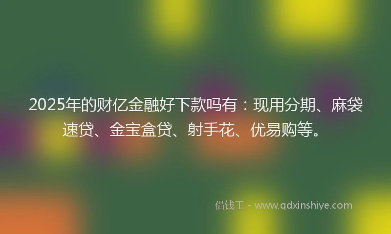 2025年的财亿金融好下款吗有：现用分期、麻袋速贷、金宝盒贷、射手花、优易购等。