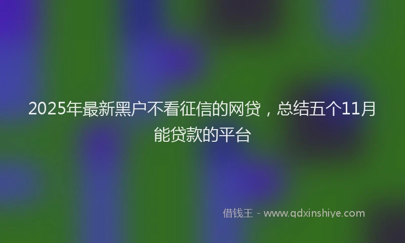 2025年最新黑户不看征信的网贷，总结五个11月能贷款的平台