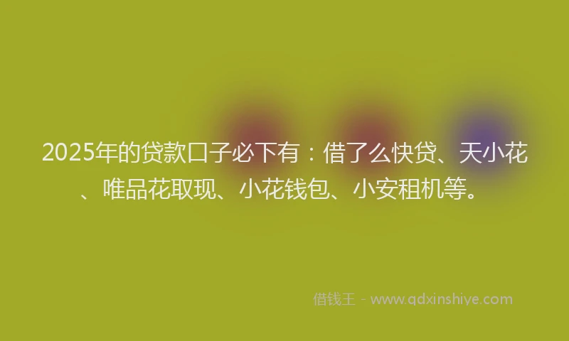 2025年的贷款口子必下有：借了么快贷、天小花、唯品花取现、小花钱包、小安租机等。