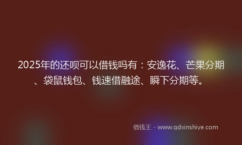 2025年的还呗可以借钱吗有：安逸花、芒果分期、袋鼠钱包、钱速借融途、瞬下分期等。