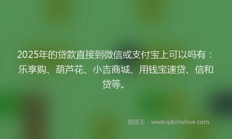 2025年的贷款直接到微信或支付宝上可以吗有：乐享购、葫芦花、小吉商城、用钱宝速贷、信和贷等。