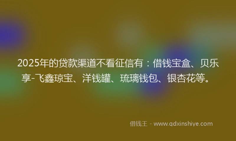 2025年的贷款渠道不看征信有：借钱宝盒、贝乐享-飞鑫琼宝、洋钱罐、琉璃钱包、银杏花等。