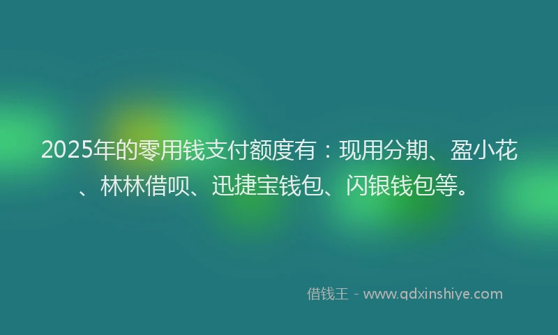 2025年的零用钱支付额度有：现用分期、盈小花、林林借呗、迅捷宝钱包、闪银钱包等。