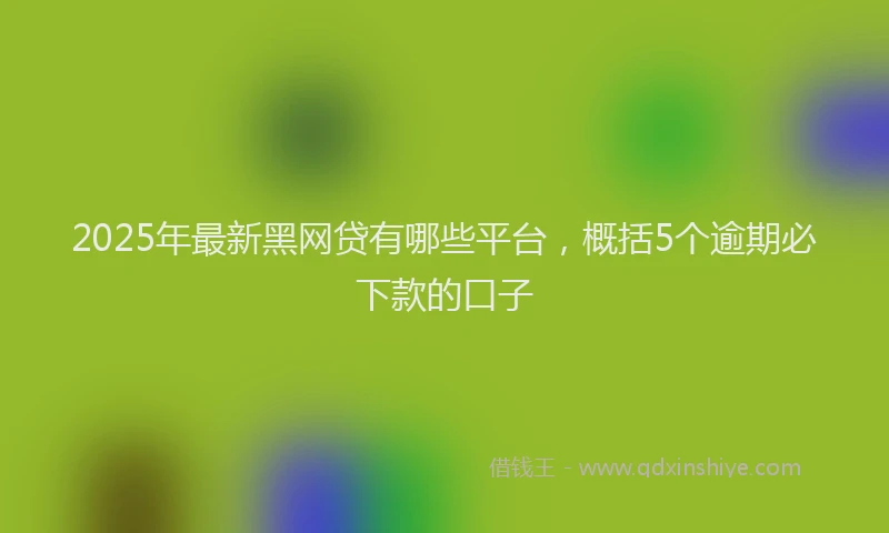 2025年最新黑网贷有哪些平台，概括5个逾期必下款的口子