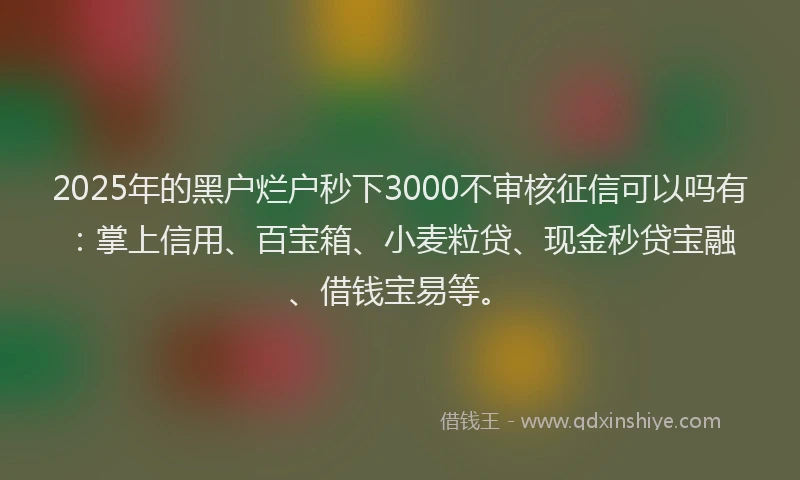 2025年的黑户烂户秒下3000不审核征信可以吗有：掌上信用、百宝箱、小麦粒贷、现金秒贷宝融、借钱宝易等。