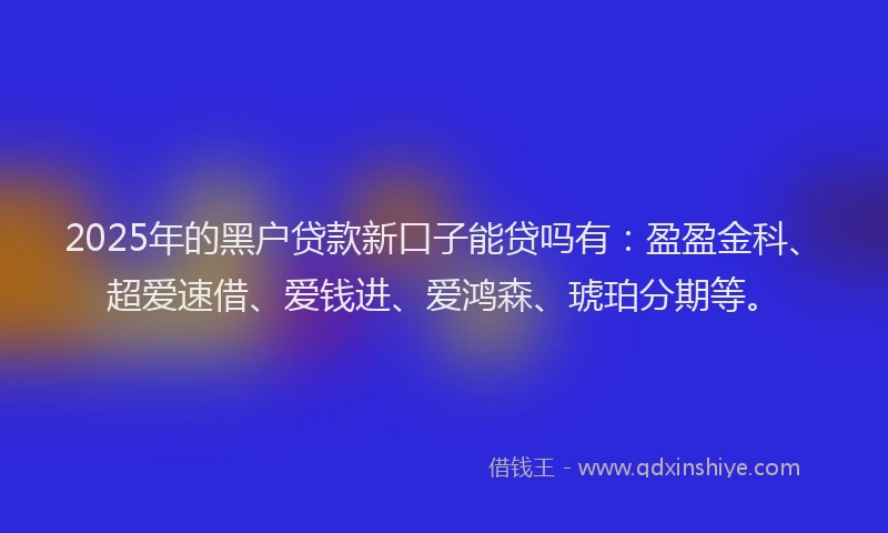 2025年的黑户贷款新口子能贷吗有：盈盈金科、超爱速借、爱钱进、爱鸿森、琥珀分期等。