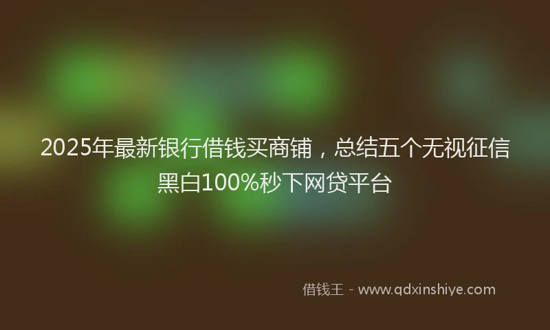 2025年最新银行借钱买商铺，总结五个无视征信黑白100%秒下网贷平台