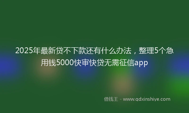 2025年最新贷不下款还有什么办法，整理5个急用钱5000快审快贷无需征信app