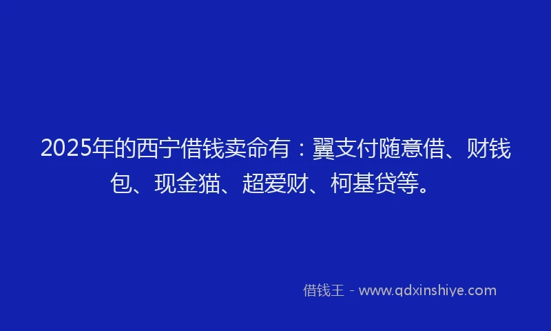 2025年的西宁借钱卖命有：翼支付随意借、财钱包、现金猫、超爱财、柯基贷等。