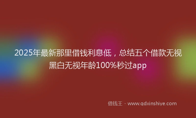 2025年最新那里借钱利息低，总结五个借款无视黑白无视年龄100%秒过app