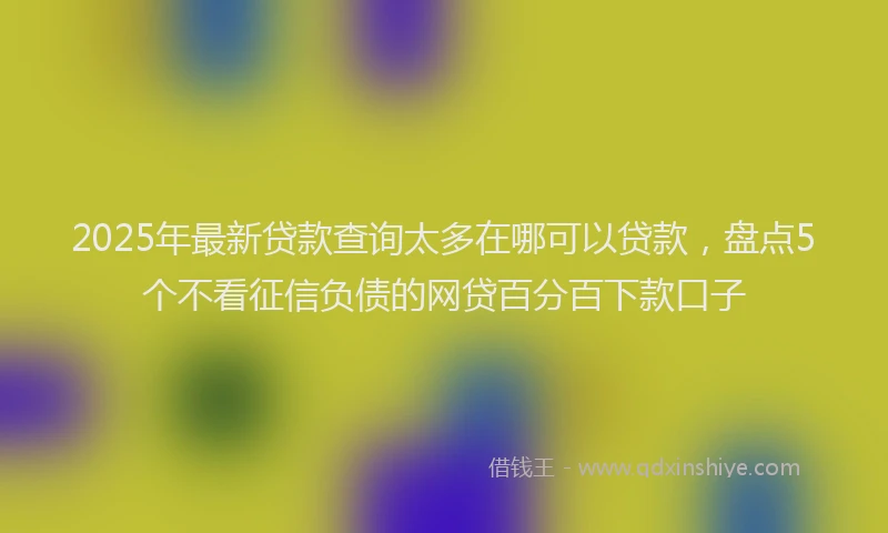 2025年最新贷款查询太多在哪可以贷款，盘点5个不看征信负债的网贷百分百下款口子