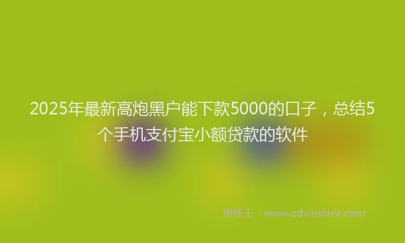 2025年最新高炮黑户能下款5000的口子，总结5个手机支付宝小额贷款的软件