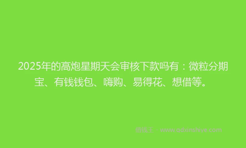 2025年的高炮星期天会审核下款吗有：微粒分期宝、有钱钱包、嗨购、易得花、想借等。