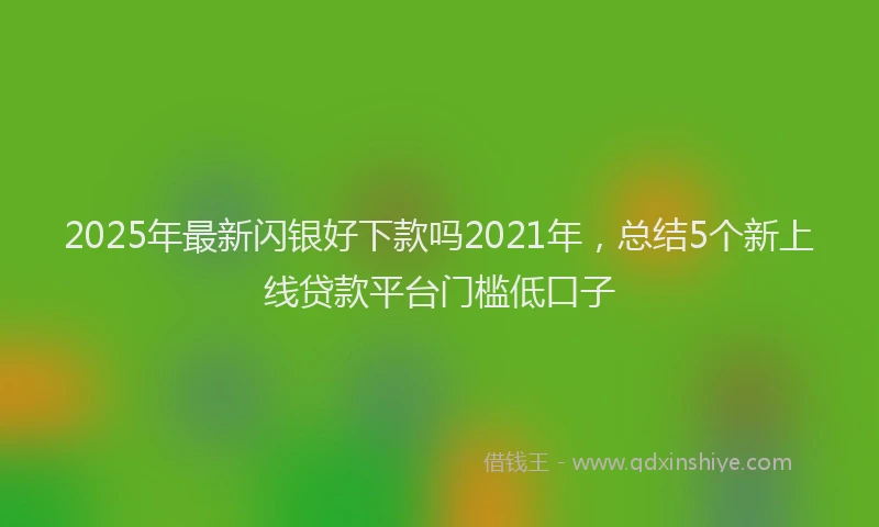 2025年最新闪银好下款吗2021年，总结5个新上线贷款平台门槛低口子
