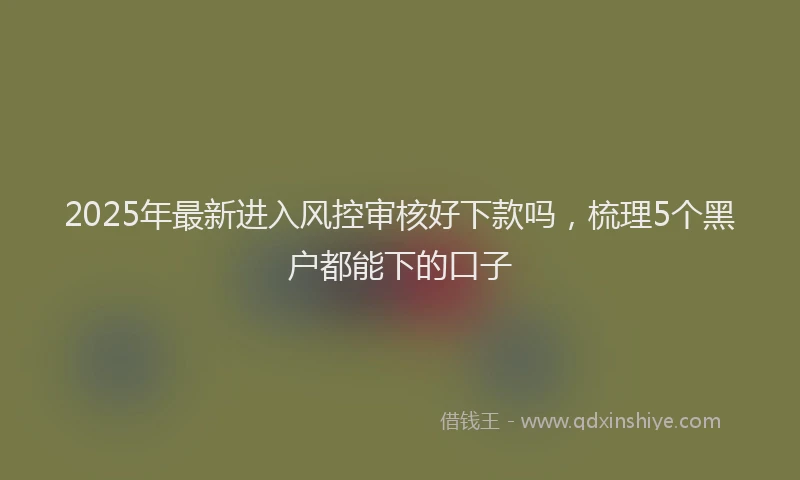 2025年最新进入风控审核好下款吗，梳理5个黑户都能下的口子