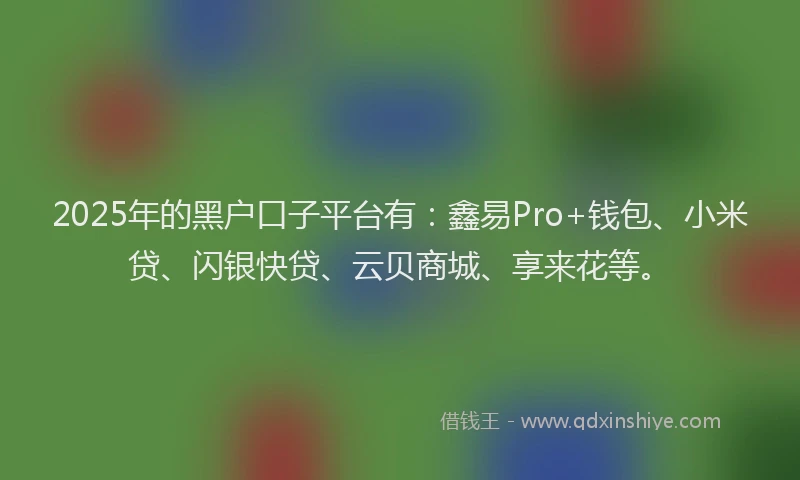 2025年的黑户口子平台有：鑫易Pro+钱包、小米贷、闪银快贷、云贝商城、享来花等。